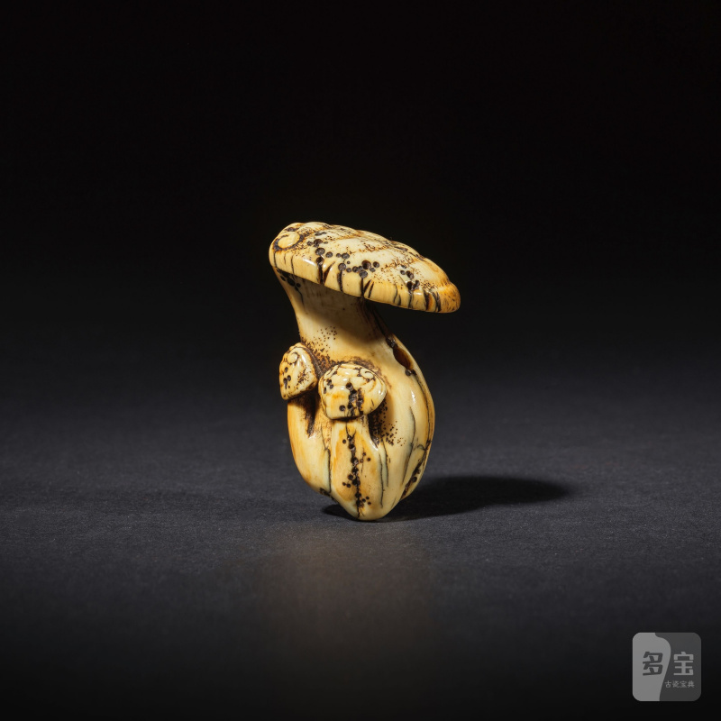 象牙彫根付 茸 銘「谷（方印）」 19世紀後期 | NETSUKE EN IVOIRE REPRÉSENTANT DES CHAMPIGNONS REISHI - 图6